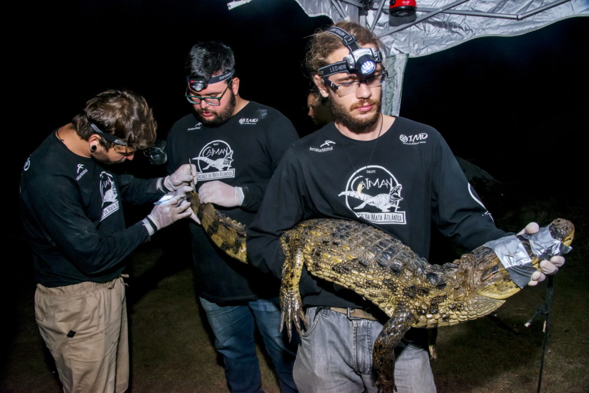 Coordenador Yhuri Nobrega lidera equipe do Projeto Caiman em campo