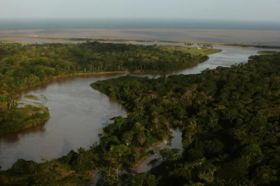 Foto: Divulgação/ Centro TAMAR/ICMBio