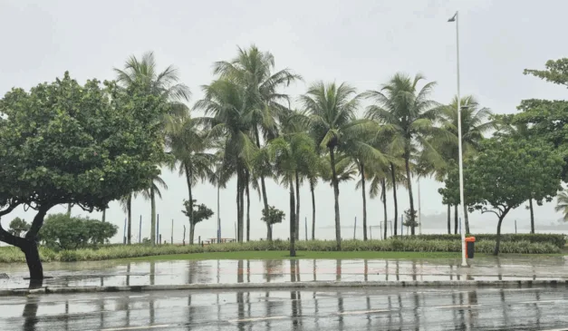Foto: Elisa Rangel/ Folha Vitória 