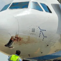 Nariz do avião