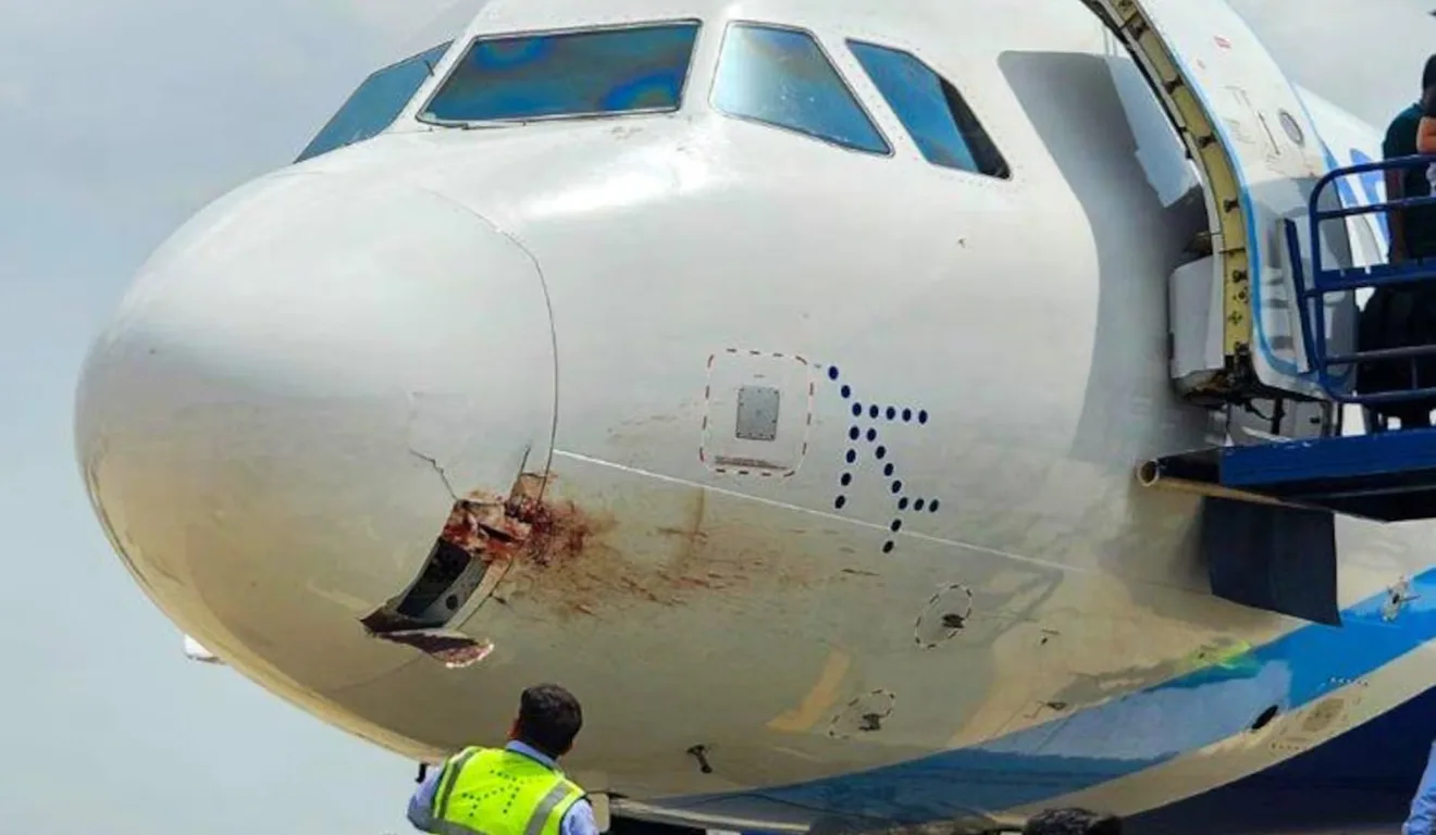 Nariz do avião