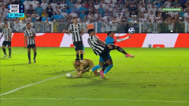 Brasileirão: Santos x Botafogo. Vila Belmiro. 01/06/2025