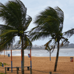 ventania e ondas em praia