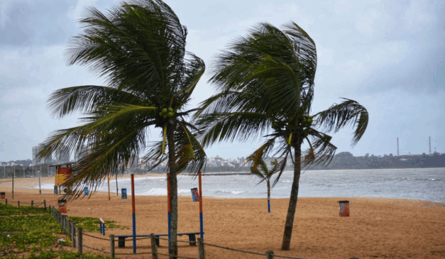 ventania e ondas em praia