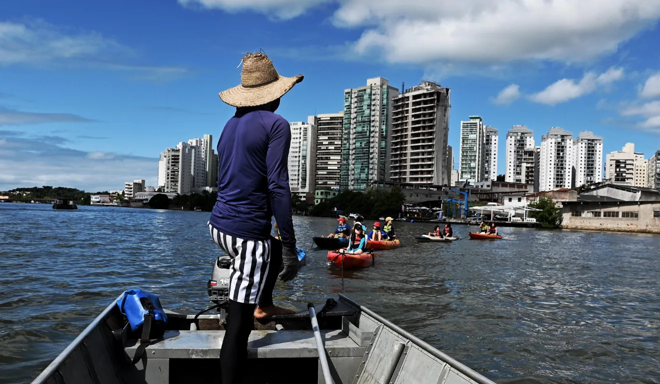 Manguezal de Vitória está 100% localizado em território urbano.