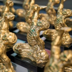 Troféu de Excelência em Saúde. Foto: Vitor Machado