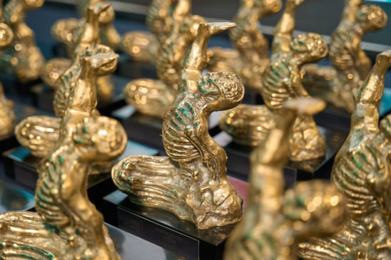 Troféu de Excelência em Saúde. Foto: Vitor Machado