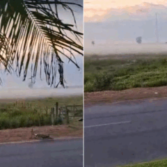 (Foto: Reprodução) 