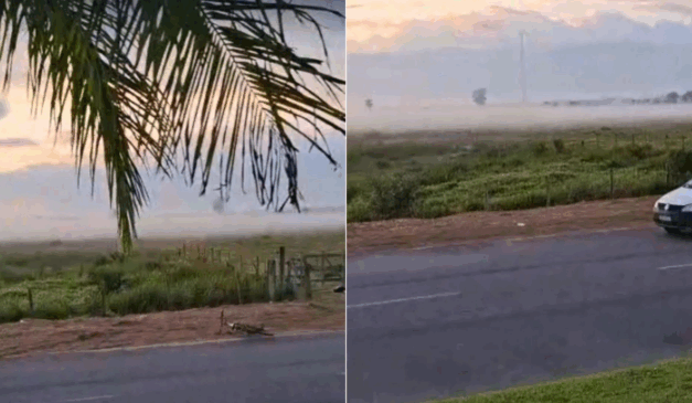 (Foto: Reprodução) 