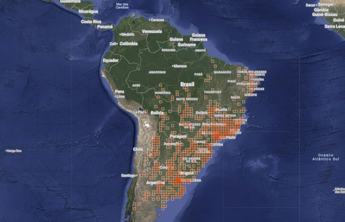 Mapa digital com registros de ocorrência da pomba-asa-branca no iNaturalist.org
