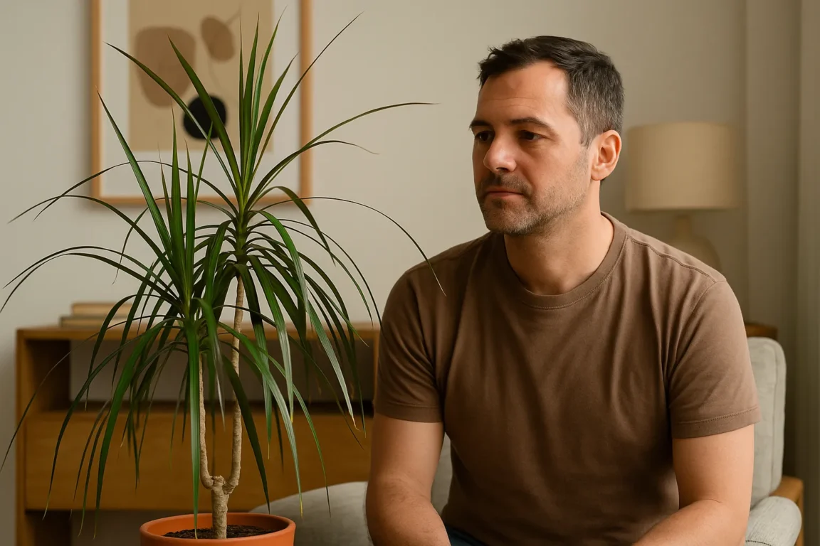 5 formas de usar a dracena na decoração com equilíbrio energético (1)