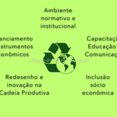 5 Eixos Estratégicos da Economia Circular  