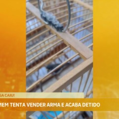 Homem é preso com arma e aves em Vila Velha após denúncia