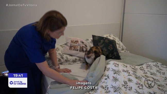 No inverno, cães e gatos precisam de proteção contra o frio