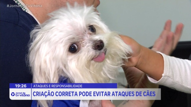 Criança é atacada por cães em Marataípe e gera indignação