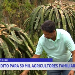 Agricultura familiar no ES recebe apoio do governo federal