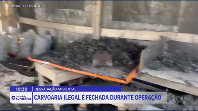 Carvoaria irregular é desmantelada em Vila Velha durante operação