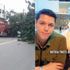 Food Truck é destruído por queda de árvore (Foto/reprodução: Instagram)