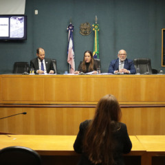 Foto: Lucas S. Costa/Ales