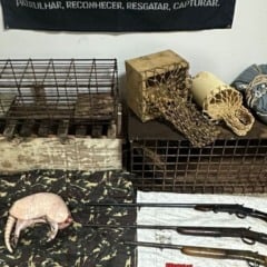 Animais abatidos foram encontrados na casa do caçador

Reprodução/PMES