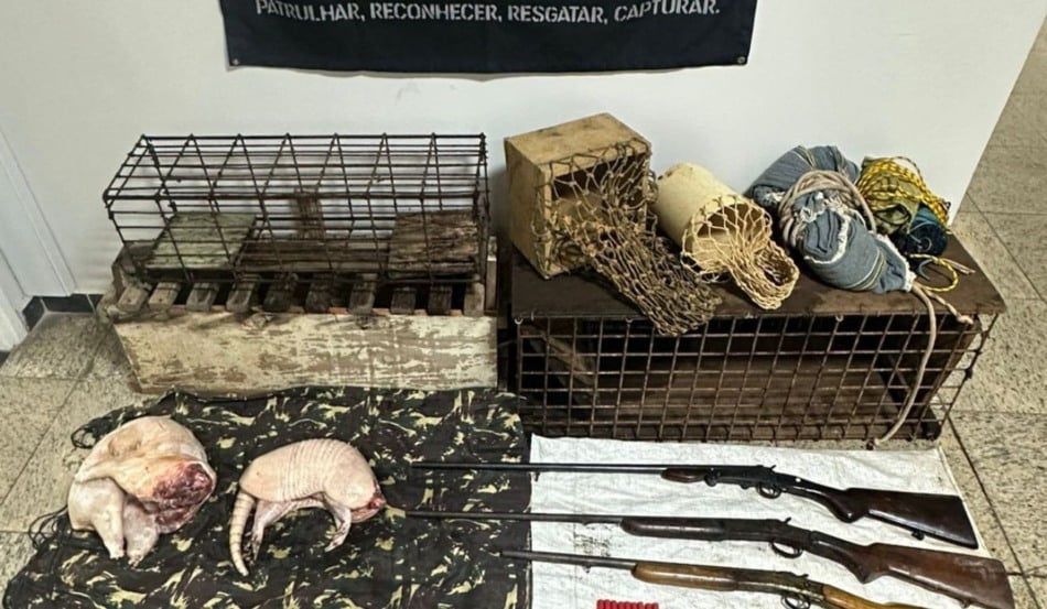 Animais abatidos foram encontrados na casa do caçador

Reprodução/PMES