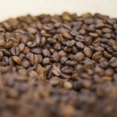 Tarifaço de Trump: setores do agronegócio do Espírito Santo reagem ao aumento das tarifas