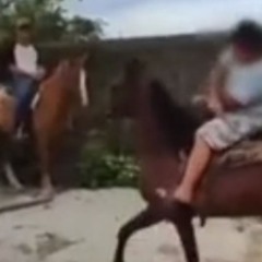 Reprodução/TV Vitória