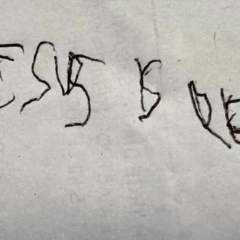 Menino que estava em coma acorda, deixa mensagem sobre jesus e falece em seguida/Foto: Reprodução