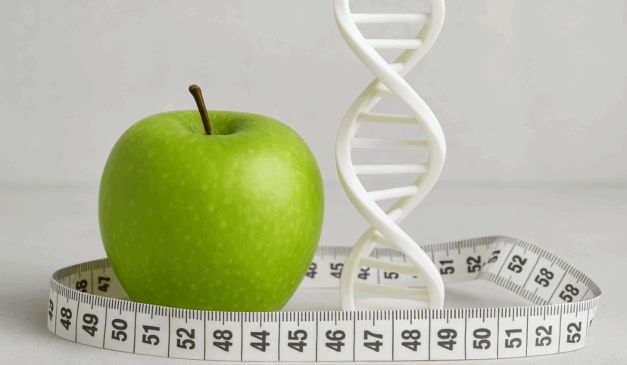 Dieta personalizada do DNA para emagrecer/ChatGPT