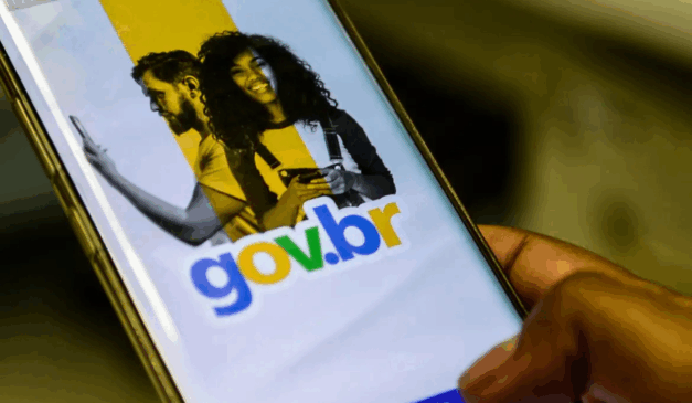 Entre os serviços mais utilizados pelos brasileiros estão a Assinatura gov.br, Meu INSS, Meu SUS Digital, Enem, Fies, Carteira de Trabalho Digital e Carteira Digital de Trânsito. Foto: Marcello Casal Jr/Agência Brasil