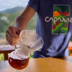 Café arábica do Caparaó: primeira IG abordada pelo projeto IdentidadES. Foto: Breno Ribeiro