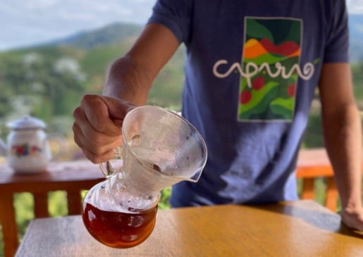 Café arábica do Caparaó: primeira IG abordada pelo projeto IdentidadES. Foto: Breno Ribeiro