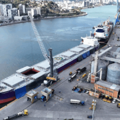 Para viabilizar a atracação do navio com 83 mil toneladas, a Vports, administradora do Porto de Vitória, promoveu ajustes nas normas do Porto de Capuaba. Foto: Divulgação/Vports