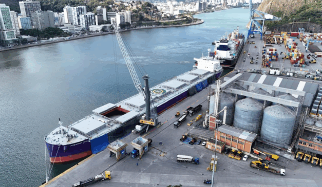 Para viabilizar a atracação do navio com 83 mil toneladas, a Vports, administradora do Porto de Vitória, promoveu ajustes nas normas do Porto de Capuaba. Foto: Divulgação/Vports