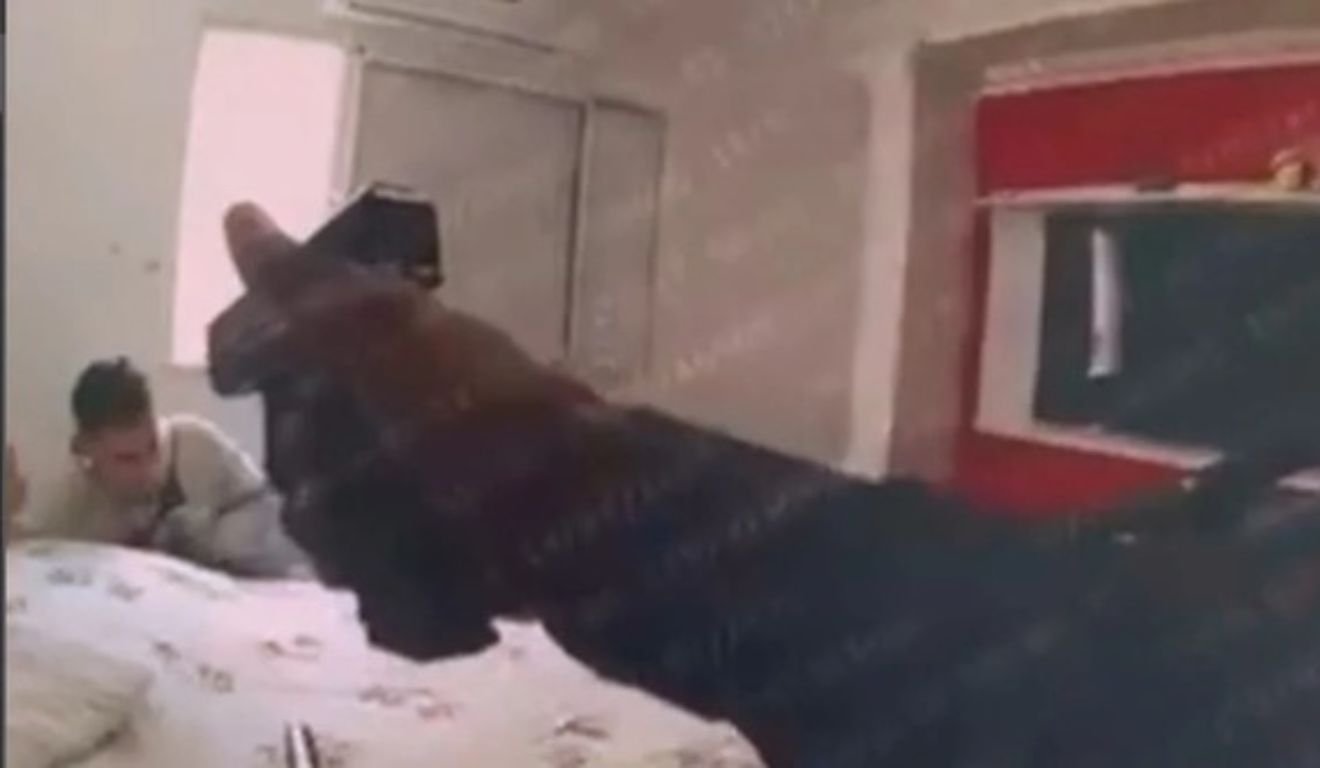 Imagem: Reprodução/vídeo Imagem: Reprodução/vídeo