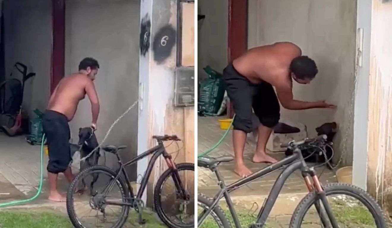 PM é preso por maus tratos a cachorro em São Mateus