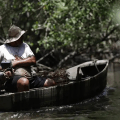 Segundo Márcio França, no Ceará, mais de 50% das exportações do estado de peixe vão para os Estados Unidos. Foto: Fernando Frazão/Agência Brasil