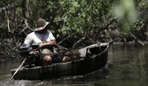 Segundo Márcio França, no Ceará, mais de 50% das exportações do estado de peixe vão para os Estados Unidos. Foto: Fernando Frazão/Agência Brasil