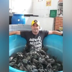 Reprodução/Arquivo Pessoal