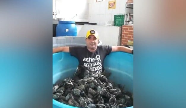 Reprodução/Arquivo Pessoal