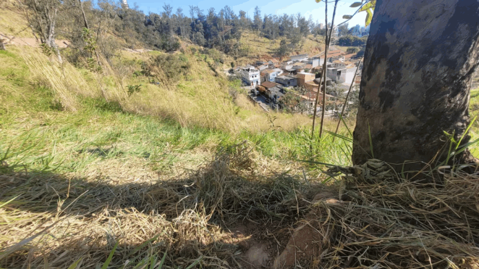 Foto: Reprodução/ Polícia Militar SP 