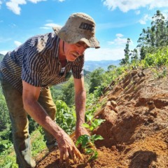 Sicredi está presente em 70% das cidades do Espírito Santo