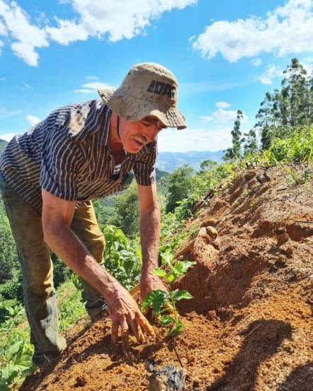 Sicredi está presente em 70% das cidades do Espírito Santo