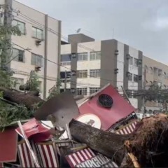 Reprodução/TV Vitória