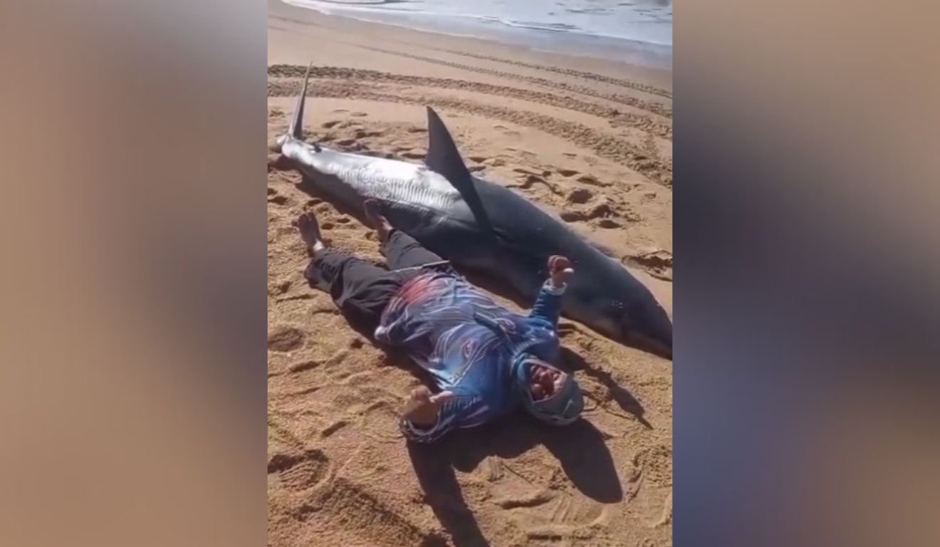 Reprodução/Instagram Reprodução/Instagram