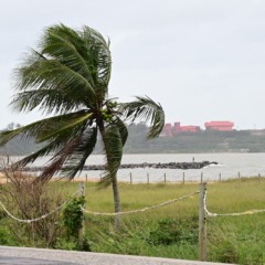 Foto: Thiago Soares/Folha Vitória