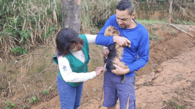 Foto: Divulgação