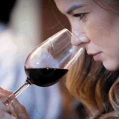 Feira terá concurso de vinhos. Foto: Distribuição/ExpoVinhos