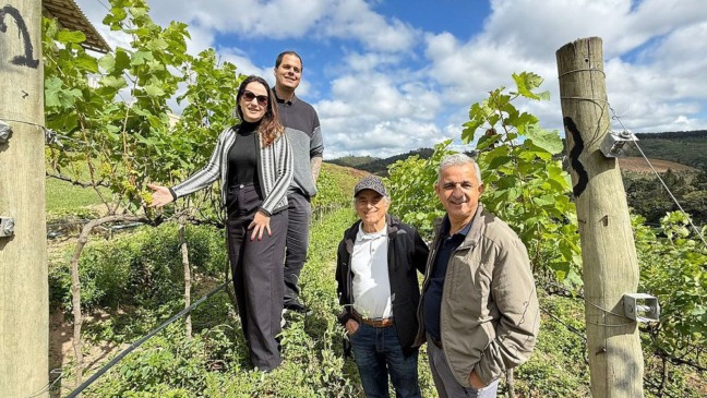 Projeto capixaba aposta no potencial de uvas de inverno para impulsionar produção de vinhos finos 