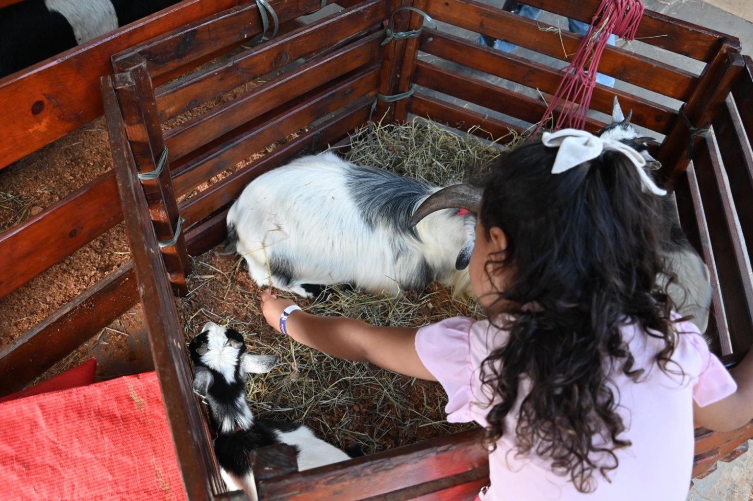 Feira dos municípios (Foto: Thiago Soares)